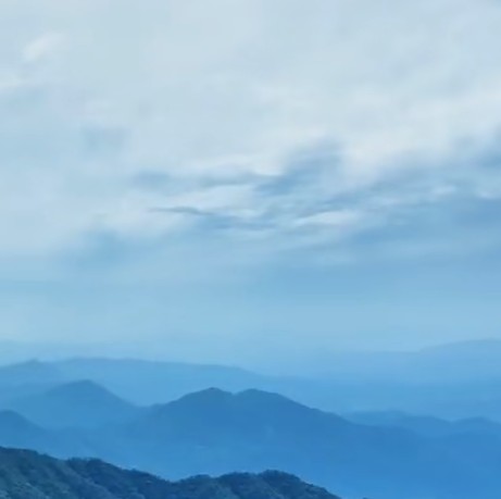 关于茂虹通讯
